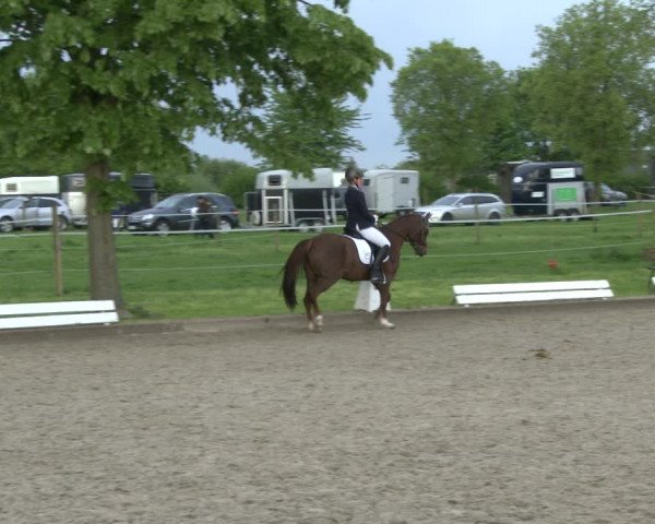 Reitturnier Ahlen 2019