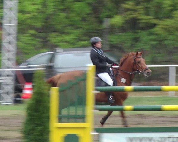 Reitturnier Schwanebeck 2019