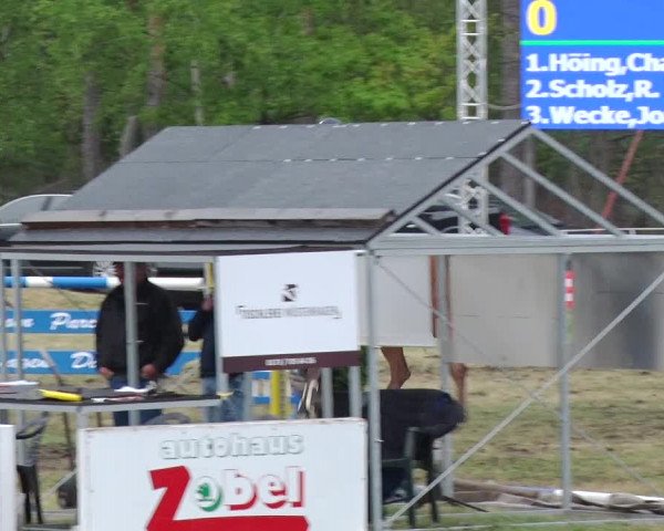 Reitturnier Schwanebeck 2019