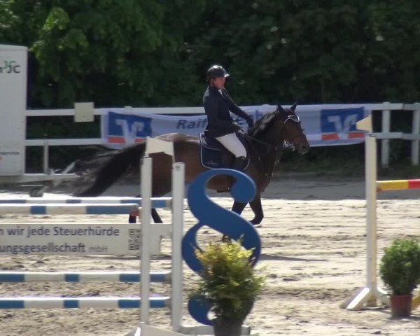 Reitturnier Köln-Seeberg 2019