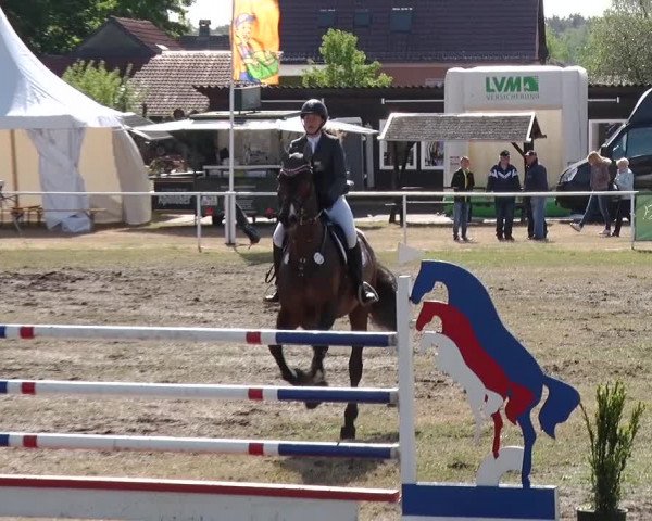 Reitturnier Schwanebeck 2019