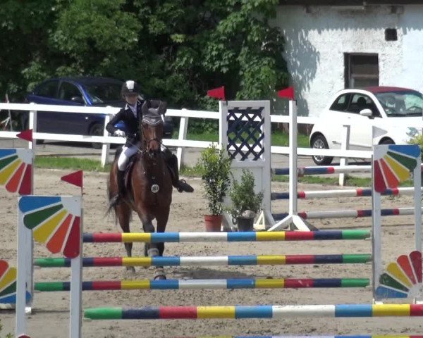 Reitturnier Köln-Seeberg 2019