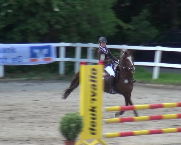 Reitturnier Köln-Seeberg 2019