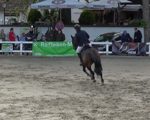 Reitturnier Köln-Seeberg 2019