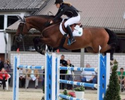 jumper Carefino (Holsteiner, 2004, from Caretino)