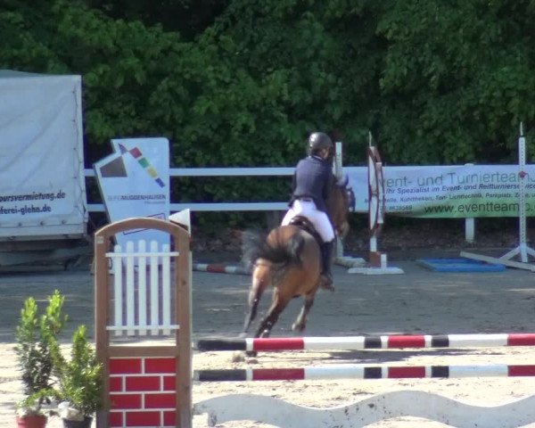 Reitturnier Köln-Seeberg 2019
