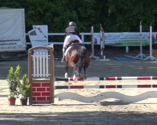 Reitturnier Köln-Seeberg 2019
