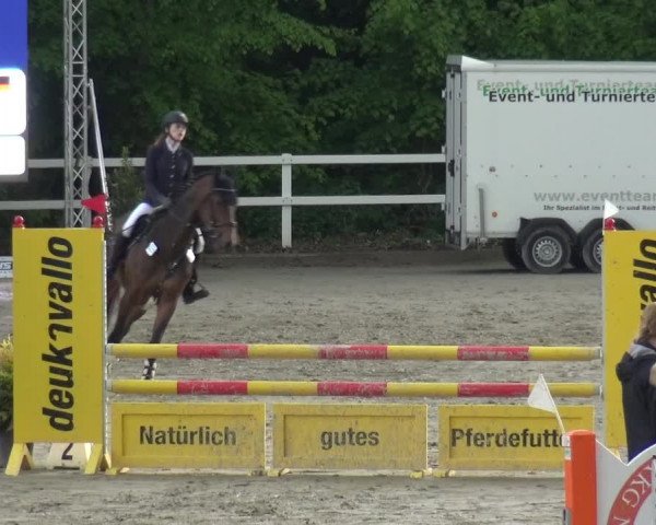 Reitturnier Köln-Seeberg 2019