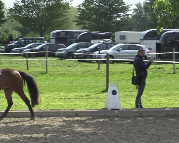 Reitturnier Ahlen 2019