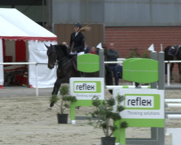 Reitturnier Ostenfelde-Vornholz 2019