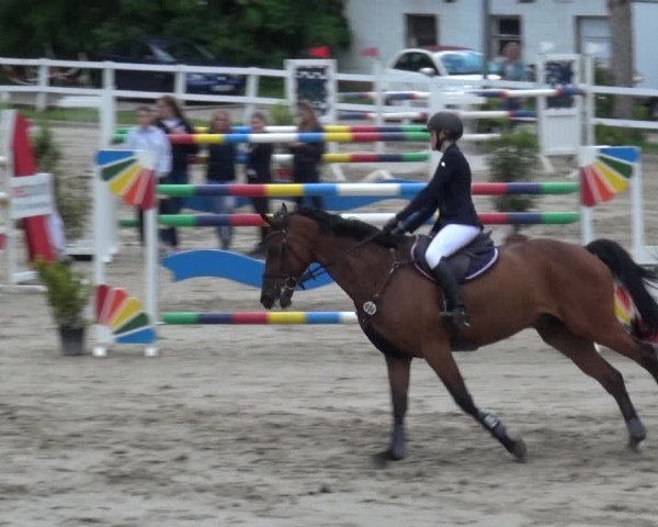 Reitturnier Köln-Seeberg 2019