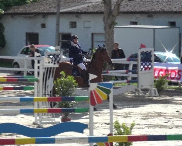 Reitturnier Köln-Seeberg 2019
