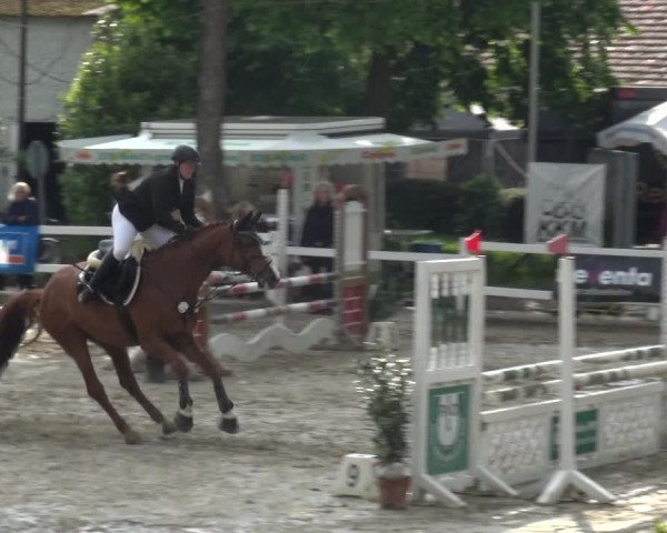 Reitturnier Köln-Seeberg 2019