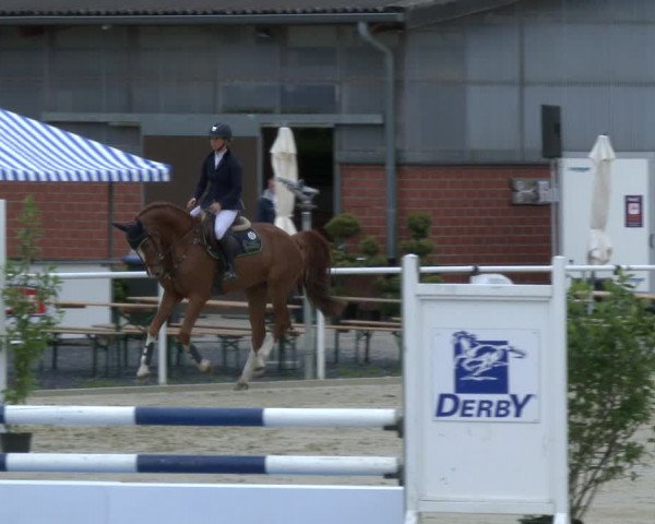 Reitturnier Ostenfelde-Vornholz 2019
