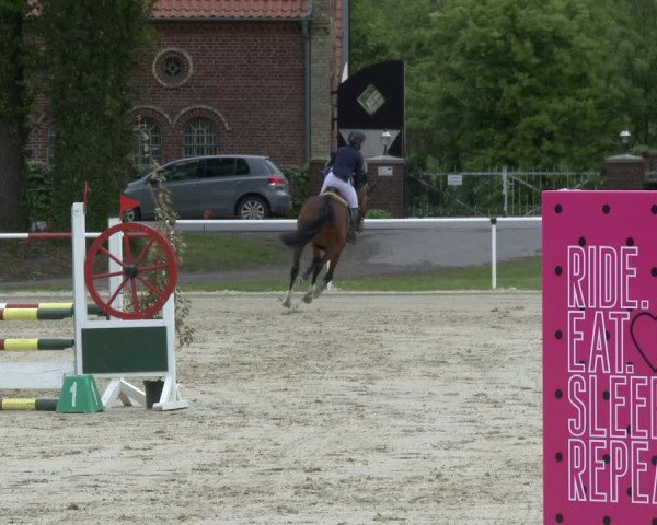Reitturnier Ostenfelde-Vornholz 2019