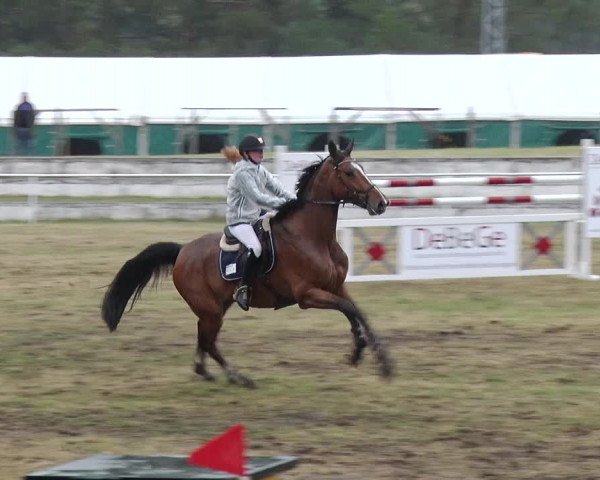 Reitturnier Schwanebeck 2019