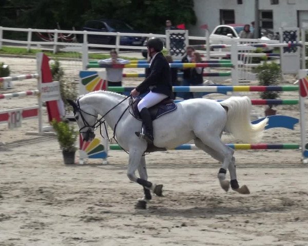 Reitturnier Köln-Seeberg 2019