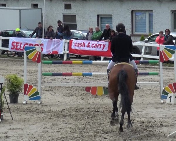 Reitturnier Köln-Seeberg 2019