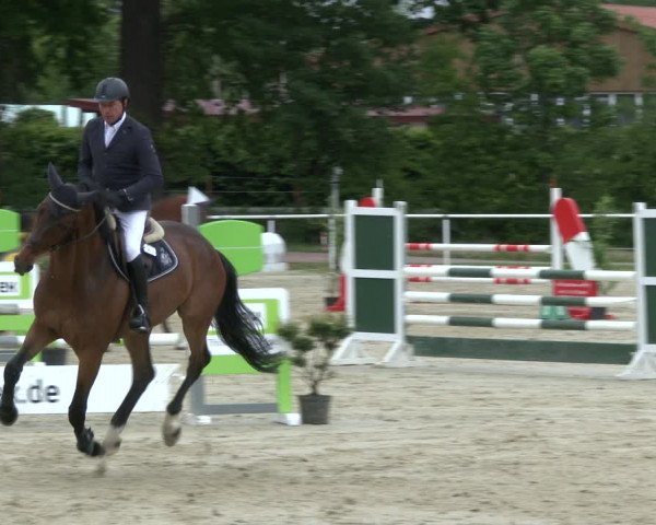 Reitturnier Ostenfelde-Vornholz 2019