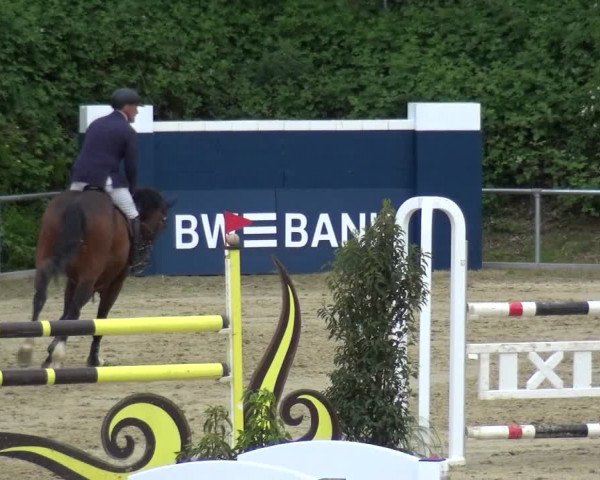 Reitturnier Ladenburg 2019