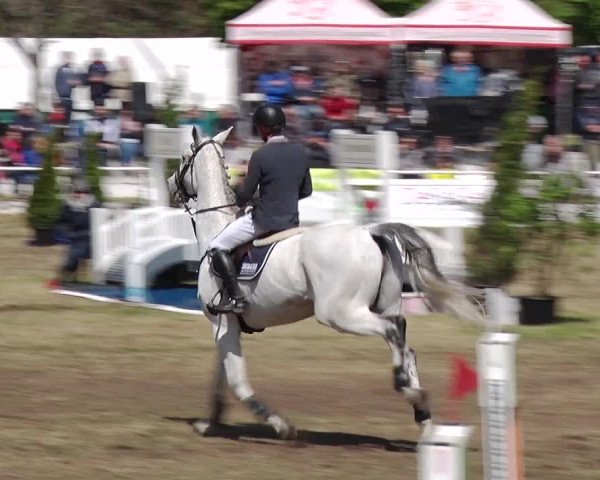 Reitturnier Schwanebeck 2019