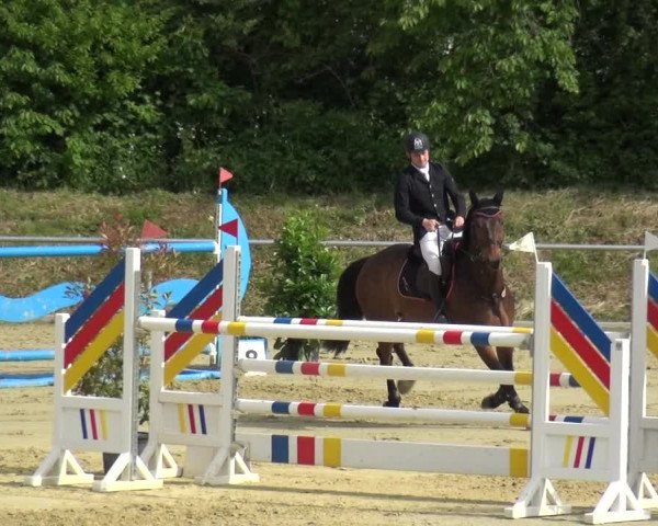 Reitturnier Ladenburg 2019