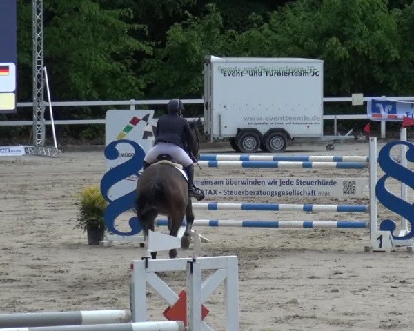 Reitturnier Köln-Seeberg 2019