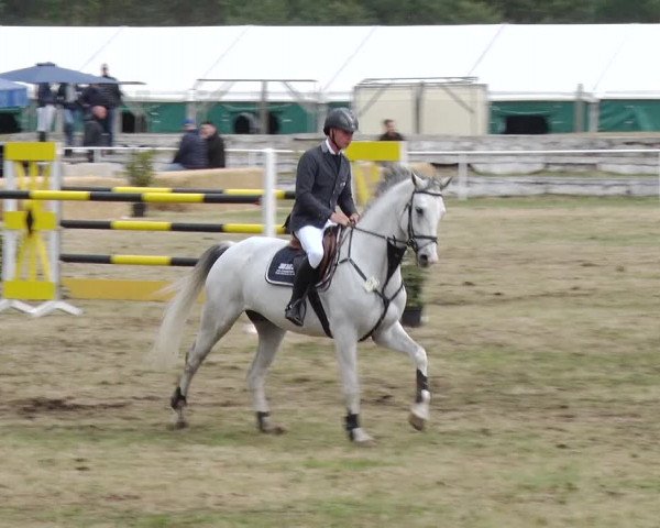 Reitturnier Schwanebeck 2019
