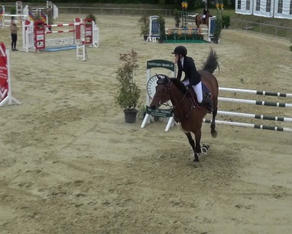 Reitturnier Ladenburg 2019