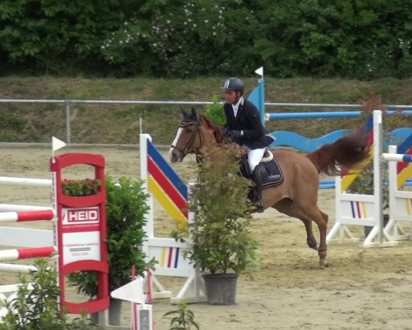 Reitturnier Ladenburg 2019
