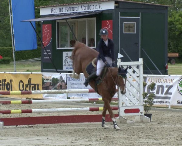 Reitturnier Ostenfelde-Vornholz 2019