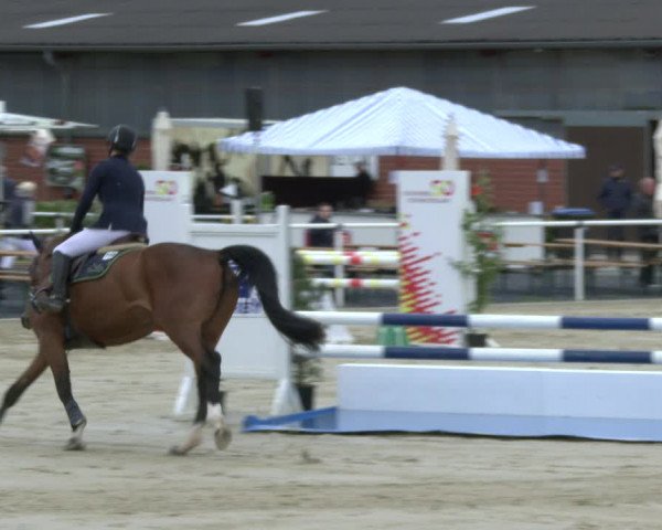 Reitturnier Ostenfelde-Vornholz 2019