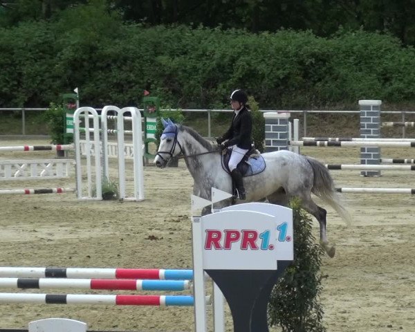 Reitturnier Ladenburg 2019