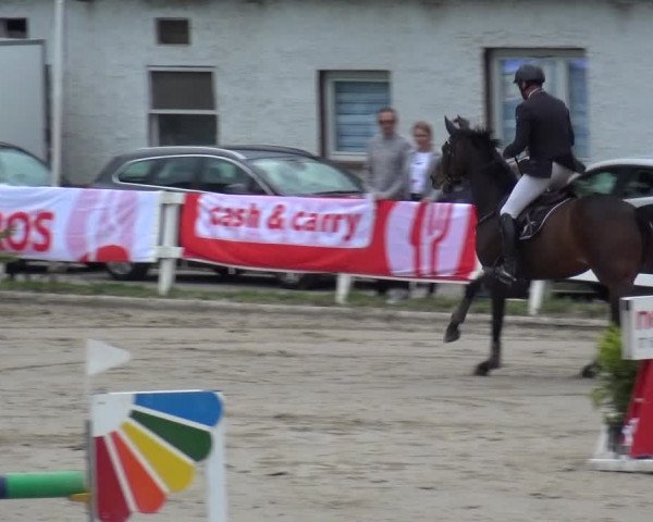 Reitturnier Köln-Seeberg 2019