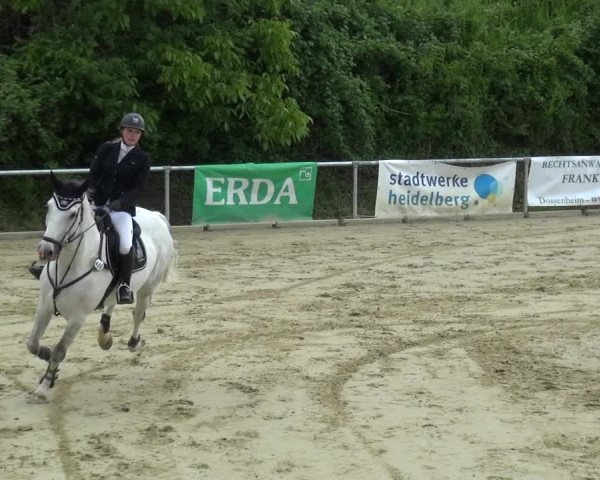 Reitturnier Ladenburg 2019