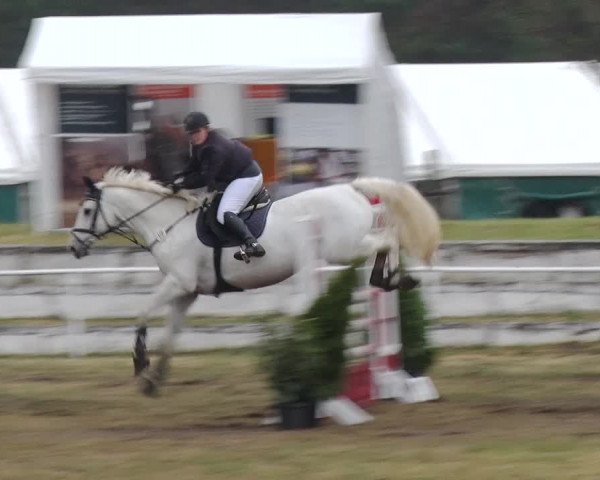 Reitturnier Schwanebeck 2019