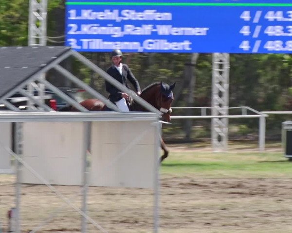 Reitturnier Schwanebeck 2019