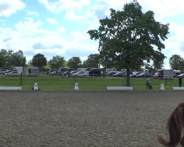 Reitturnier Ahlen 2019