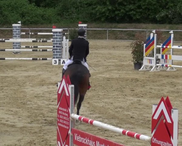 Reitturnier Ladenburg 2019