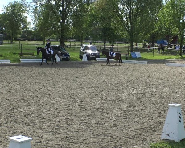 Reitturnier Ahlen 2019
