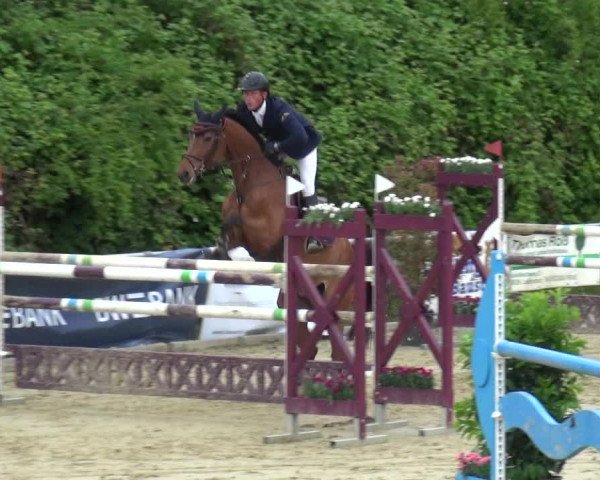 Reitturnier Ladenburg 2019