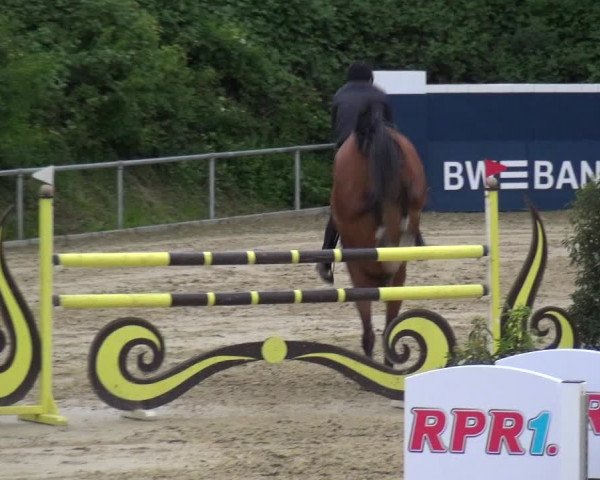 Reitturnier Ladenburg 2019