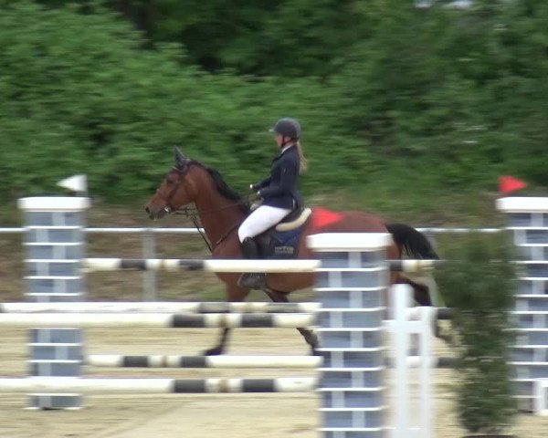 Reitturnier Ladenburg 2019