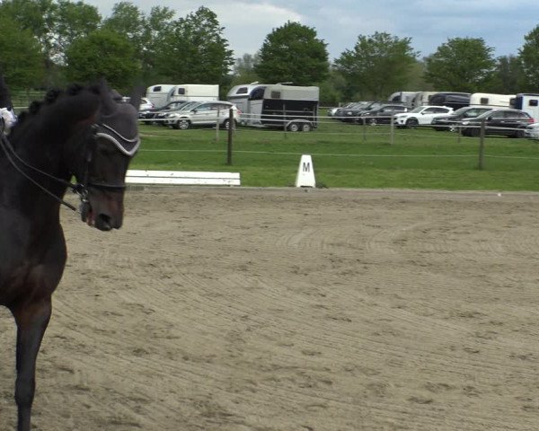 Reitturnier Ahlen 2019