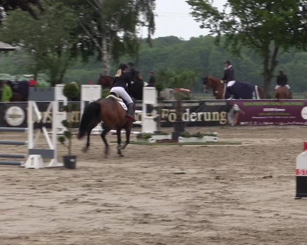 Reitturnier Dortmund-Asseln 2019
