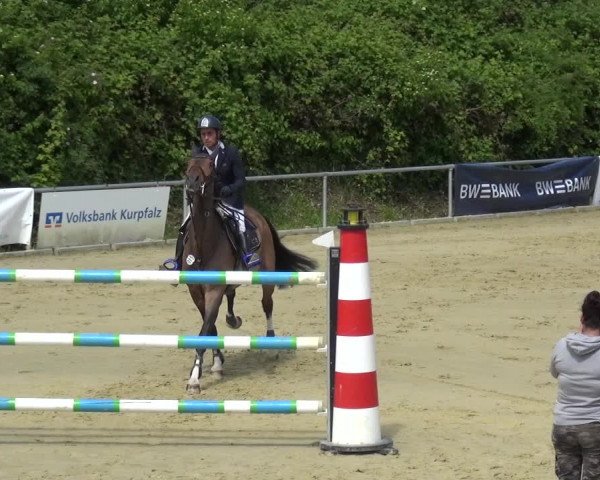 Reitturnier Ladenburg 2019