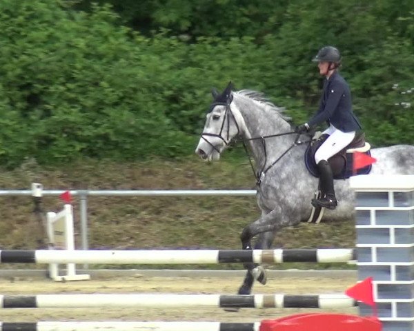 Reitturnier Ladenburg 2019