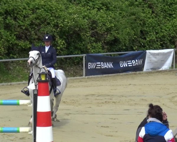 Reitturnier Ladenburg 2019