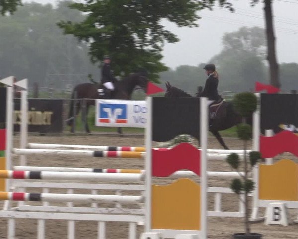 Reitturnier Dortmund-Asseln 2019