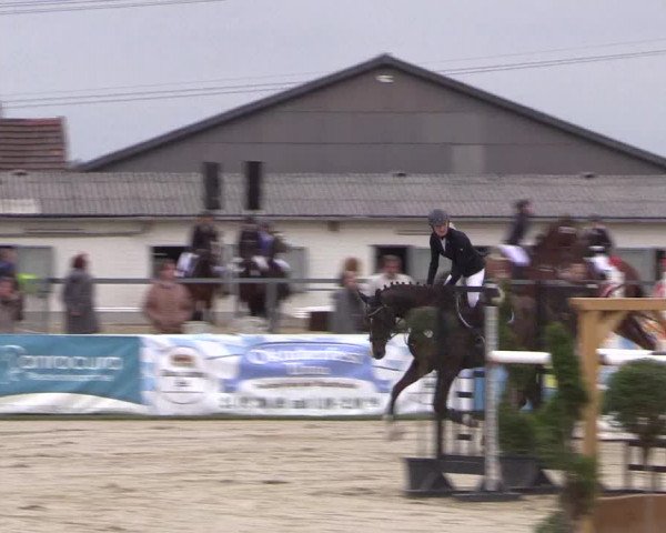 Reitturnier Dortmund-Asseln 2019